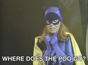 batgirl-wherepoo