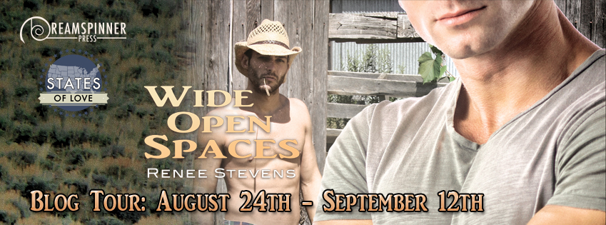 WideOpenSpaces_BT Banner