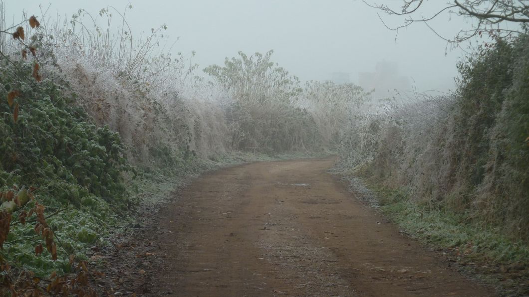 The road we live on peters out 20 yards from our gate into a bridleway and footpath. It doesn't often look quite this eerie.